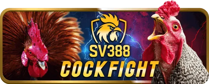 Lý do nên chọn aev999 win và các khuyến mãi